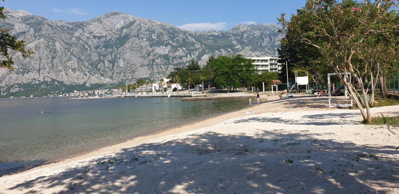 Apartments Scorpio Kotor Exteriör bild