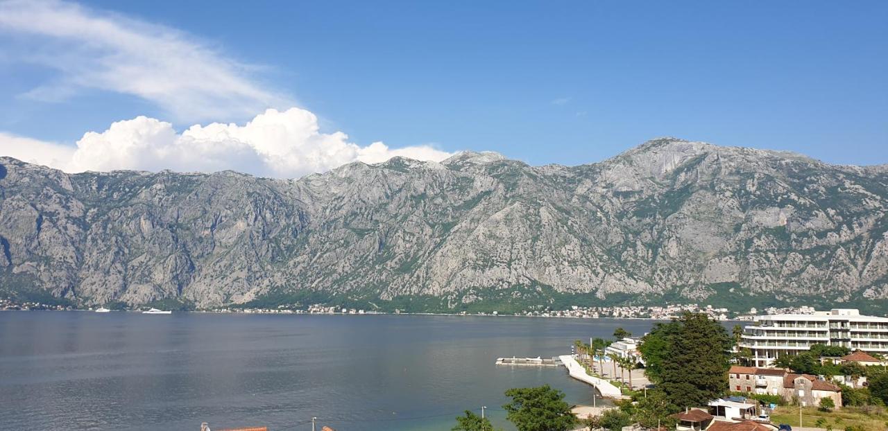 Apartments Scorpio Kotor Exteriör bild