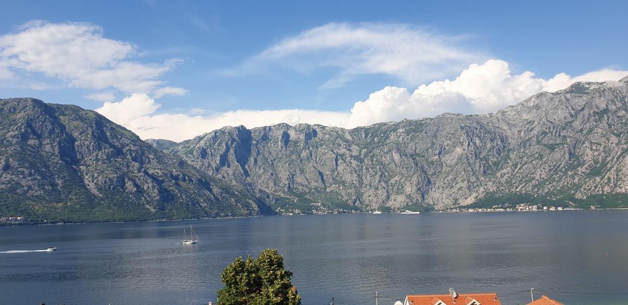 Apartments Scorpio Kotor Exteriör bild