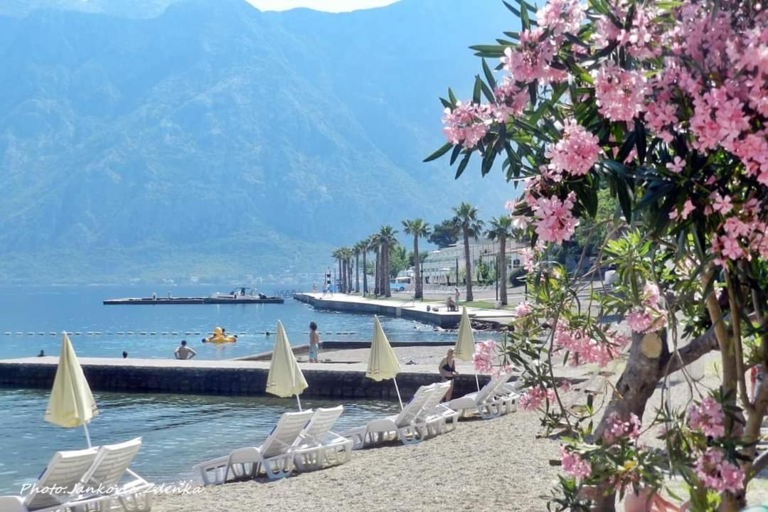 Apartments Scorpio Kotor Exteriör bild