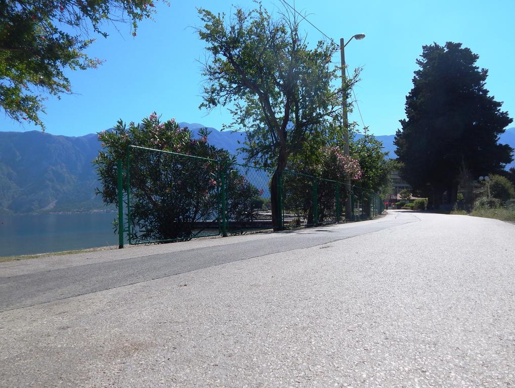 Apartments Scorpio Kotor Exteriör bild