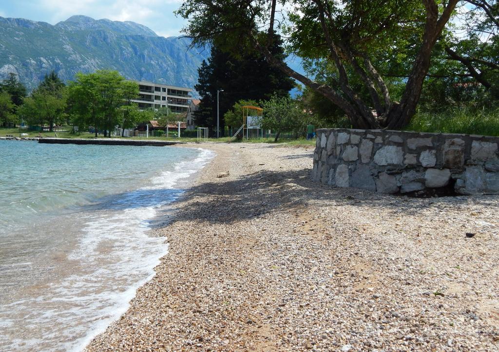 Apartments Scorpio Kotor Exteriör bild