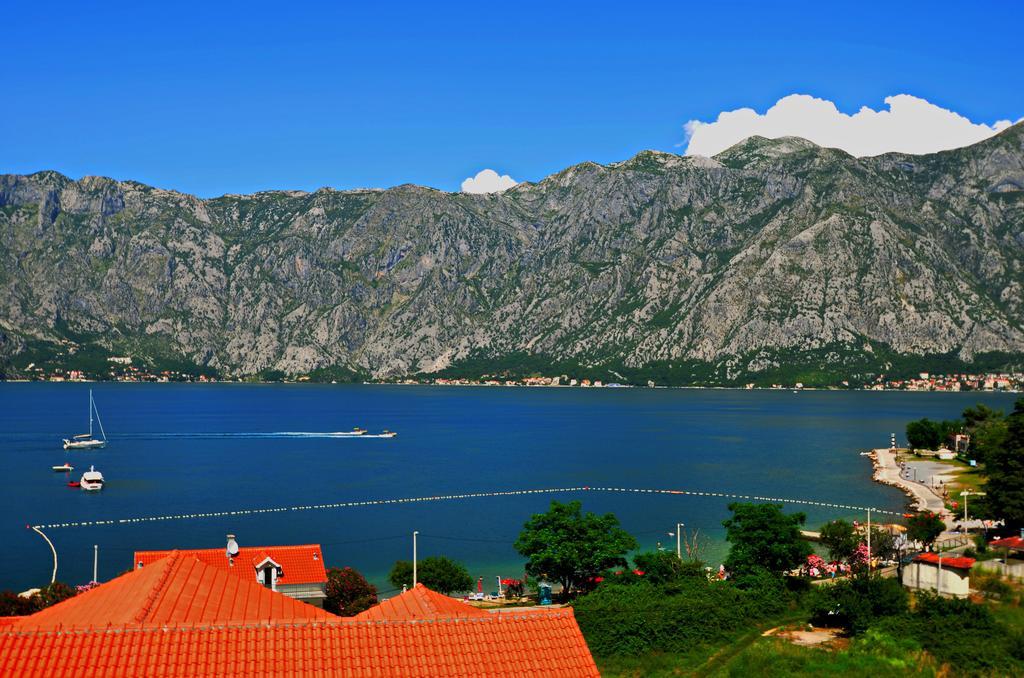 Apartments Scorpio Kotor Rum bild