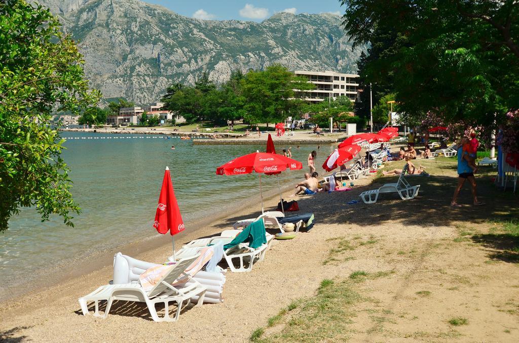 Apartments Scorpio Kotor Exteriör bild